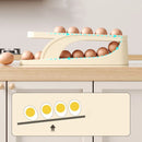 2 Floors Automatic Egg Dispenser For Countertop Cooler Kitchen Organizer