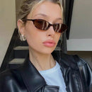 Sexy Small Oval Women's Sunglasses 2024 New Fashion Leopard Brown Hot Sun Glasses Female Retro Colorful Shade Eyeglass
